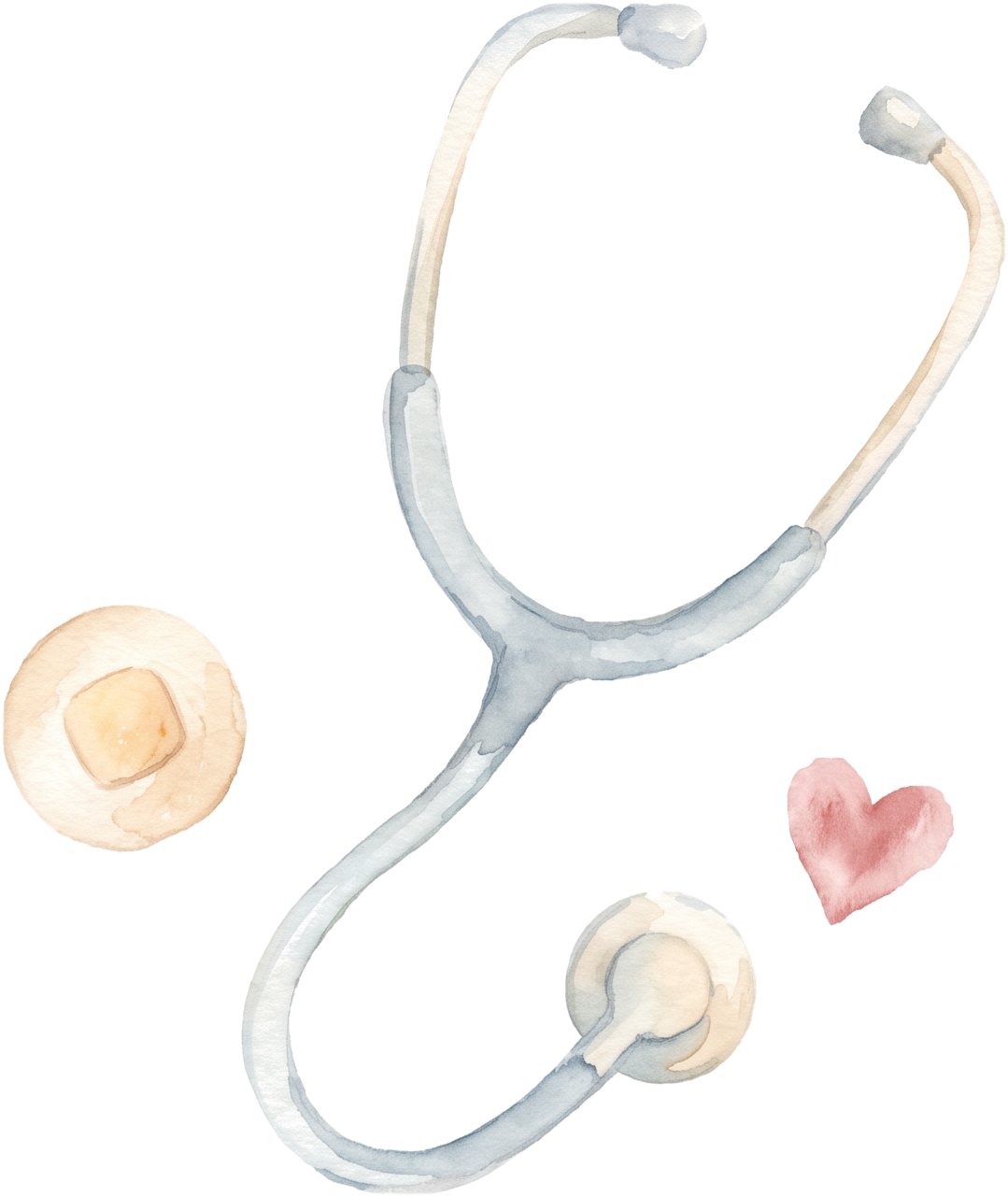 Watercolour illustration of a stethoscope forming a heart